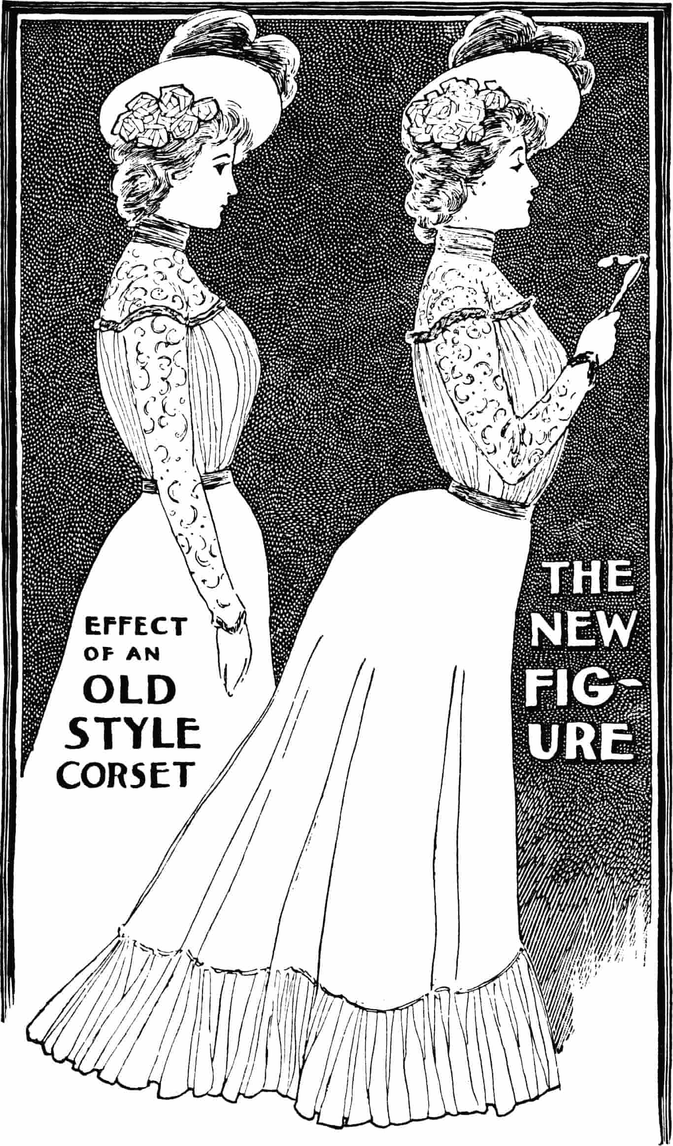 A black and white illustration of the Edwardian corset A black and white illustration of the Edwardian corset