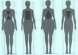 Diagram of 4 women's body types Diagram of 4 women's body types