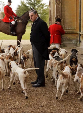 A group of hounds and a man in a suit in front of a building with a horse and rider in the background.